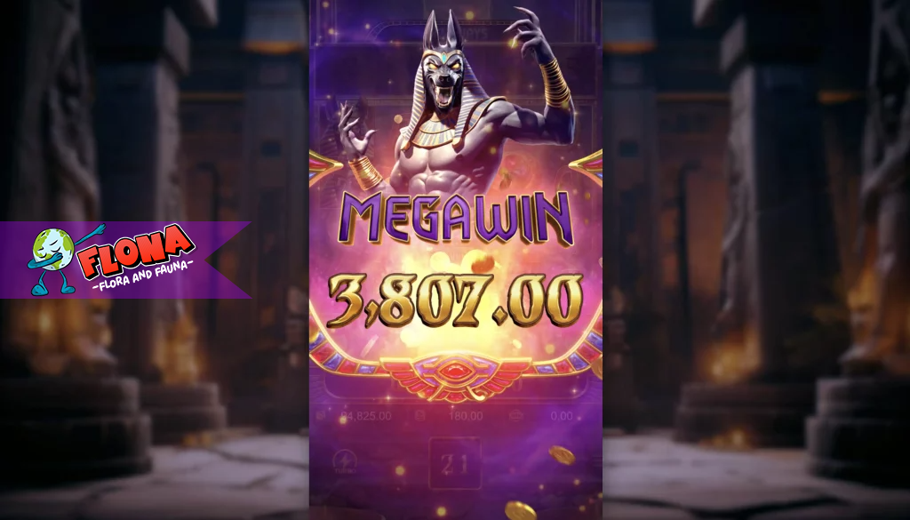 Anubis Wrath Slot: Panduan Bermain dan Cara Menang Besar