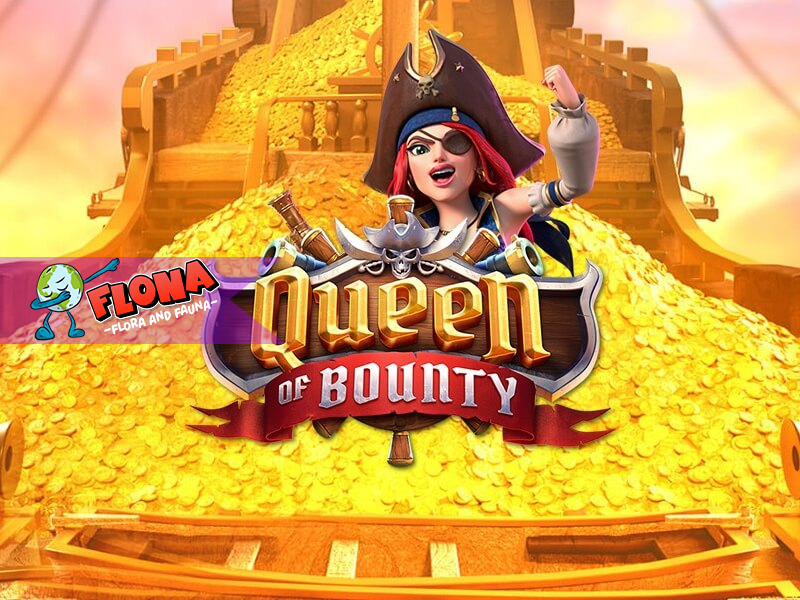 Queen of Bounty Slot Online: Panduan Lengkap untuk Pemula!