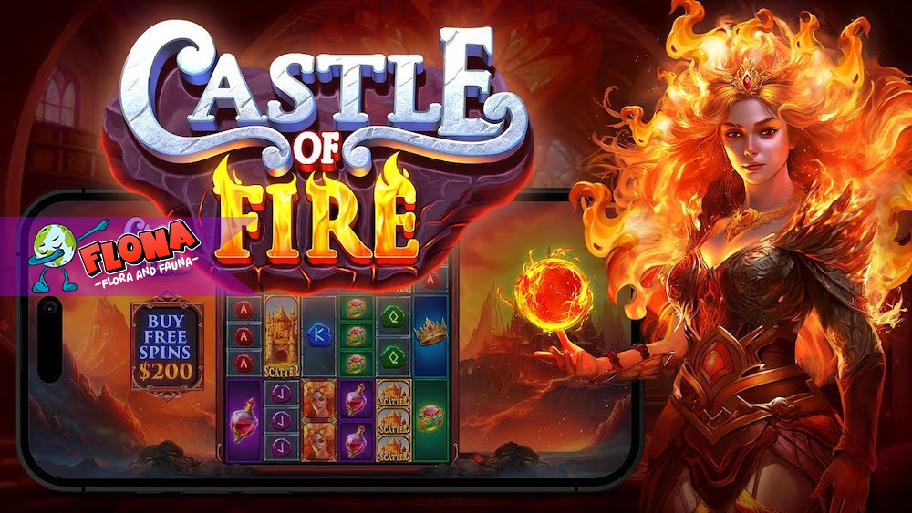 Castle of Fire Slot Gacor: Tips dan Trik Kemenangan Maksimal