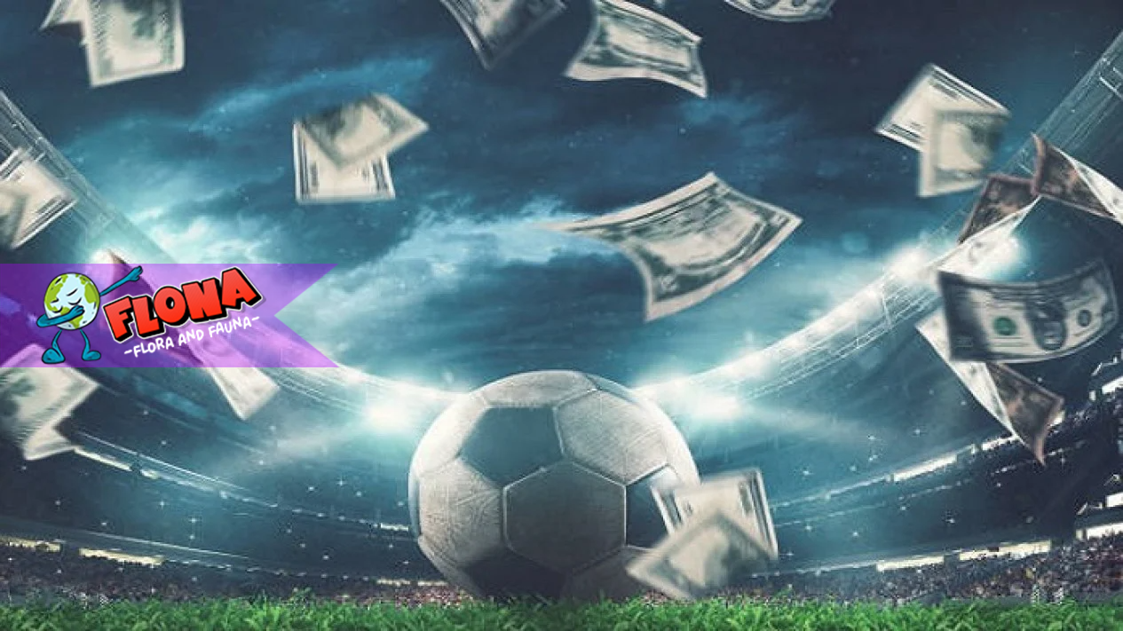 Judi Bola Online: Cara Memilih Tim Pemenang Dan Keuntungan