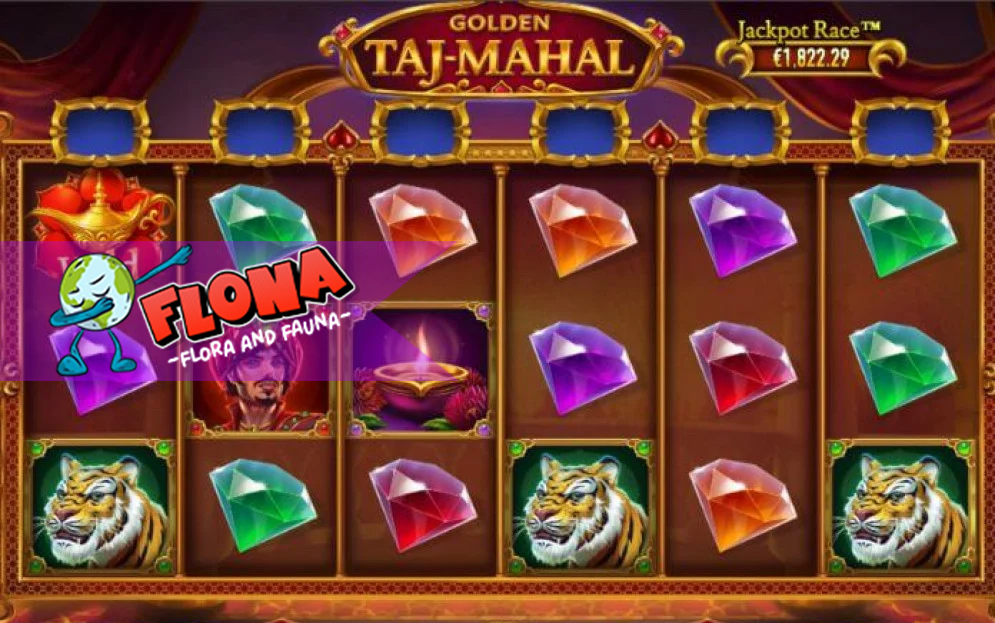 Golden Taj Mahal: Jelajahi Istana Legendaris India di Habanero