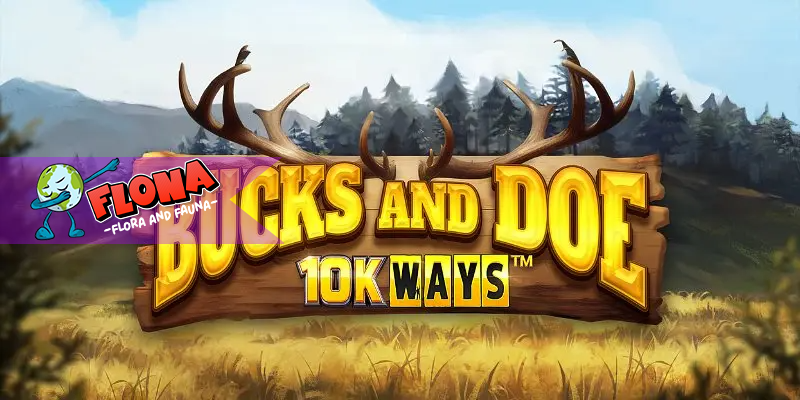 Bucks and Doe 10K Ways: Slot Online Mengejar Permainan Besar dan Kemenangan Besar