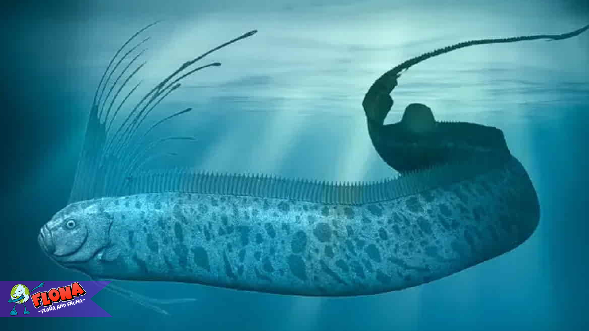 Keunikan Ikan Oarfish: Mengapa Ikan Ini Jadi Misteri Alam