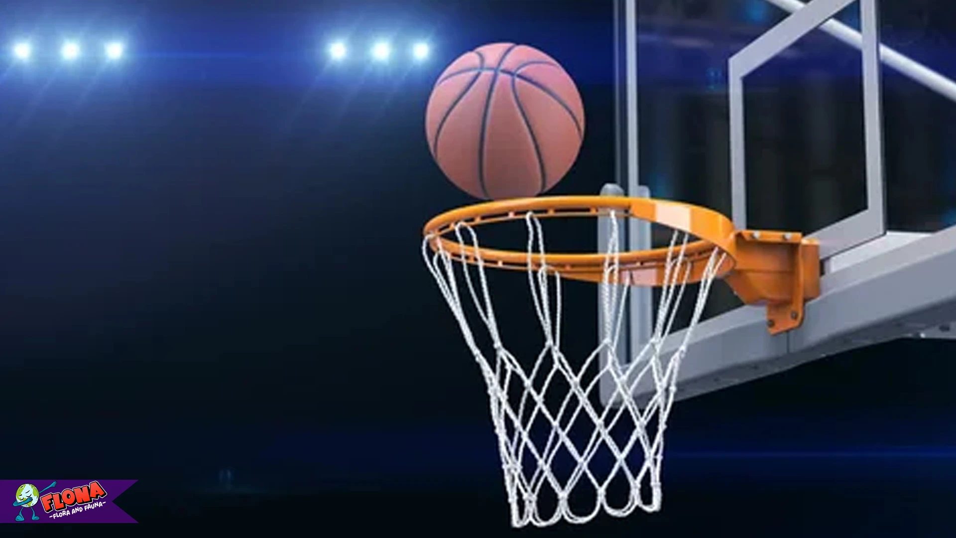 Taruhan Sports Liga Basket 2025 Hadir dengan 5 Wajah Baru Dunia 2 Taruhan Sports Liga Basket 2025 Hadir dengan 5 Wajah Baru Dunia