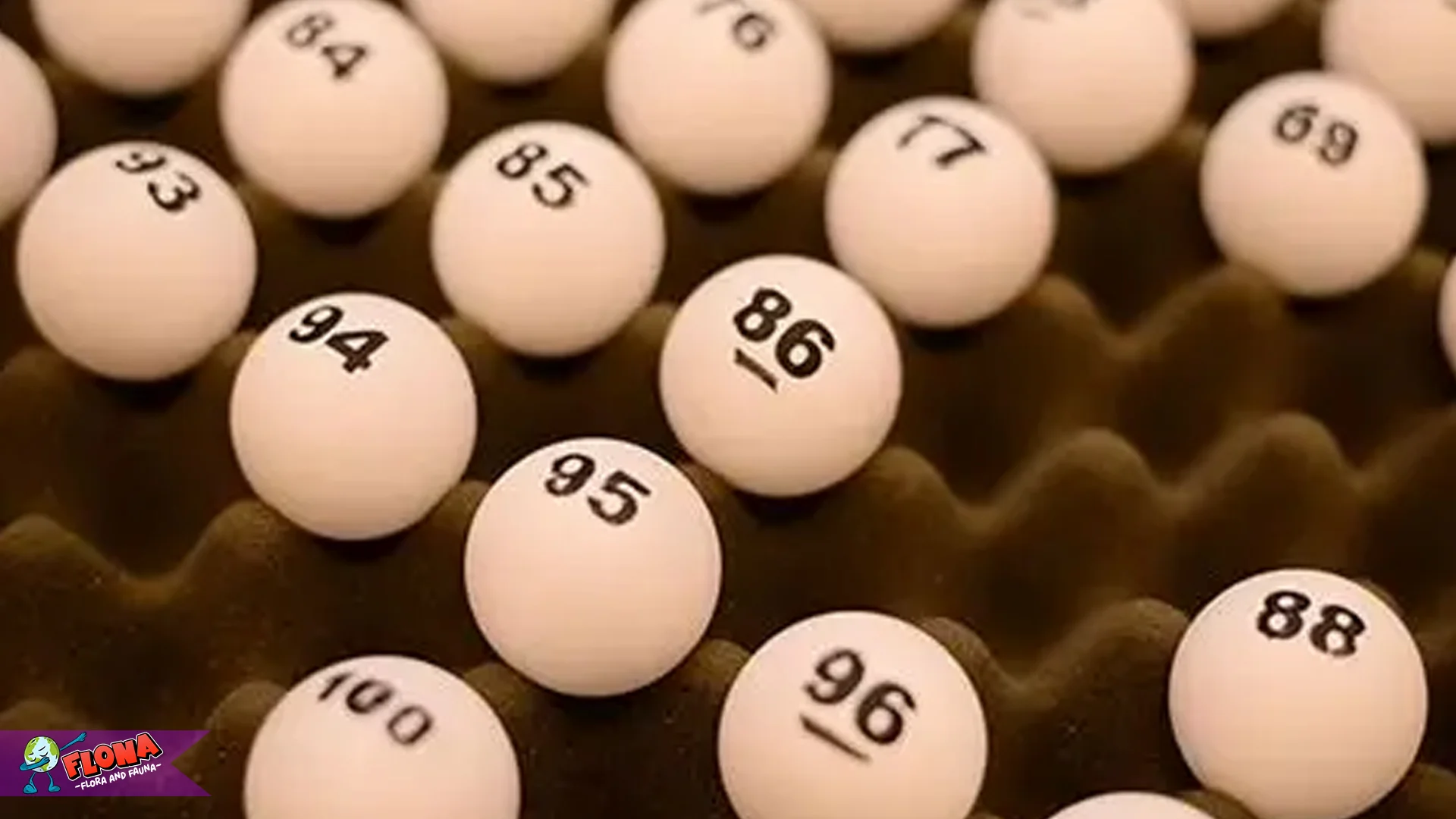 The Art of Prediction: 4 Pelajaran dari Ahli Statistik Seputar Toto Online 2 The Art of Prediction: 4 Pelajaran dari Ahli Statistik Seputar Toto Online