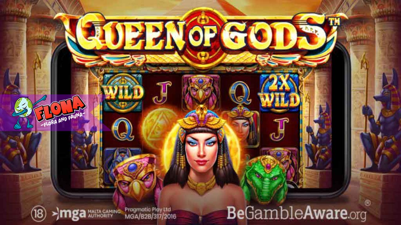 Pragmatic Play Mencari Dukungan Surgawi di Queen of Gods