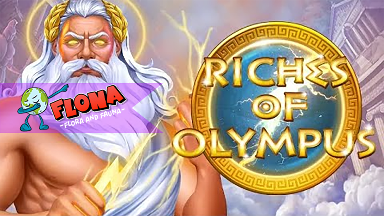 Riches of Olympus: Yggdrasil Memutar Balik Waktu dalam Rilisan Mistis Terbaru