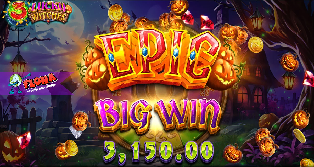 Lucky Witches: Petualangan Seram Roda Penyihir Slot Yggdrasil