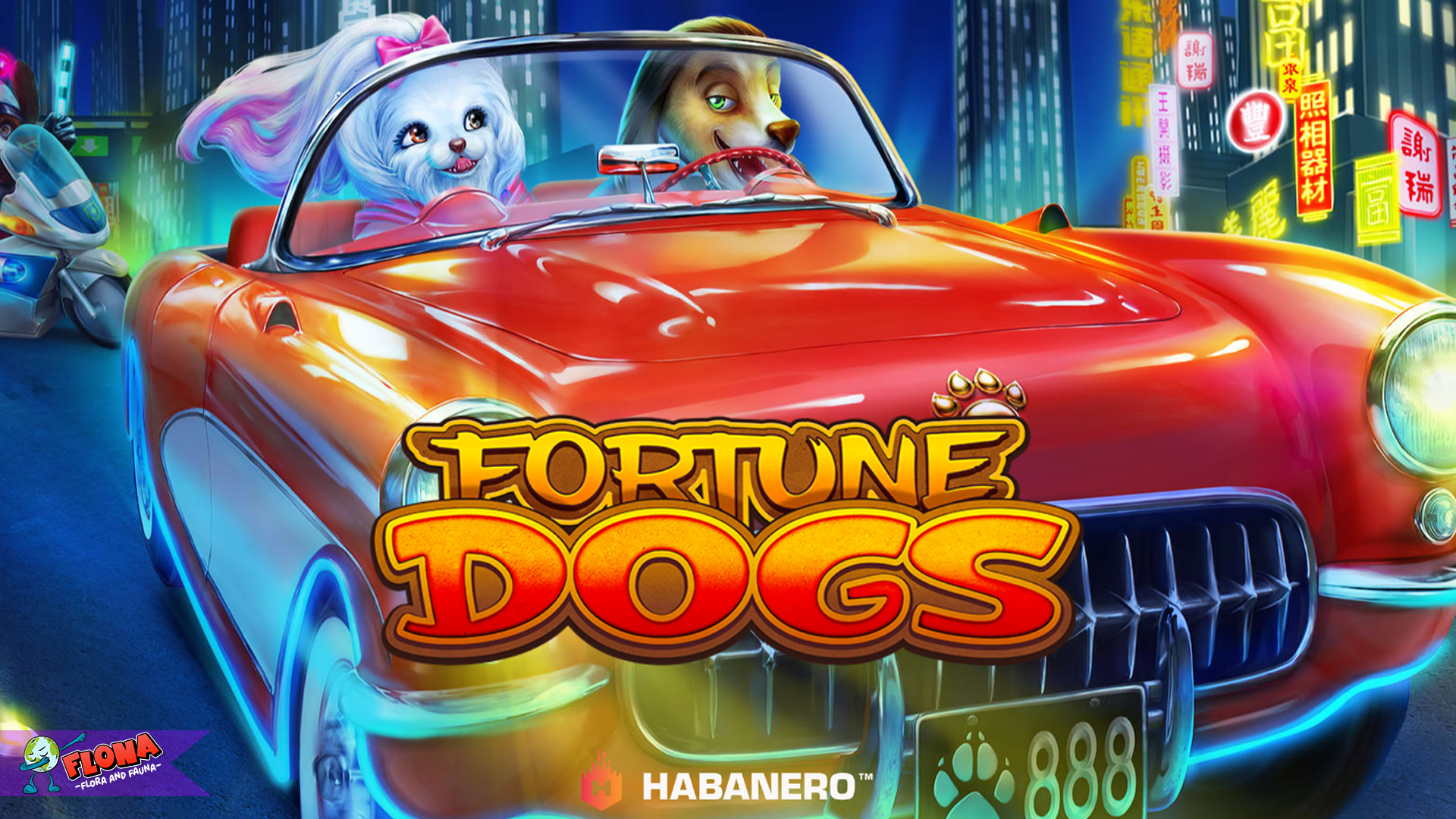 Maksimalkan Cuan Lewat Pola Scatter Terbaik di Fortune Dogs